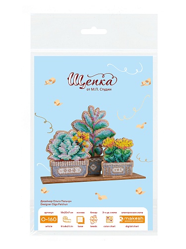 Сад суккулентов