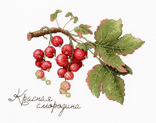 Набор для вышивания Дары природы. Красная смородина