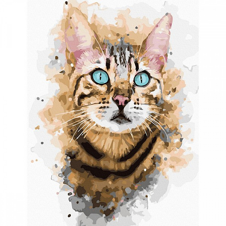 Картина по номерам на холсте Бразильская кошка