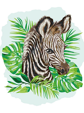 Картина по номерам Малыш зебра