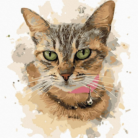 Картина по номерам Домашняя кошка