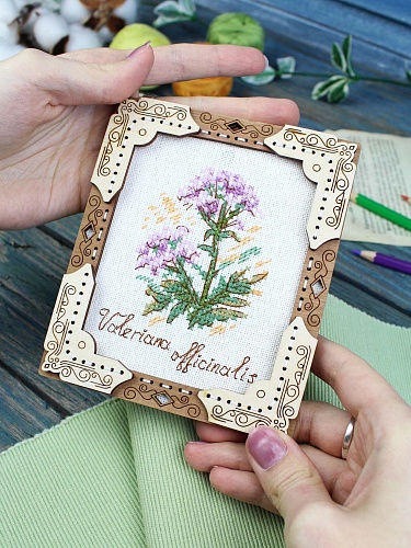 Миниатюра. Валериана