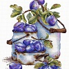 Садовые сливы