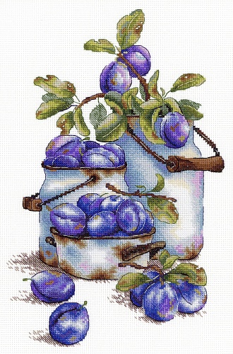 Садовые сливы