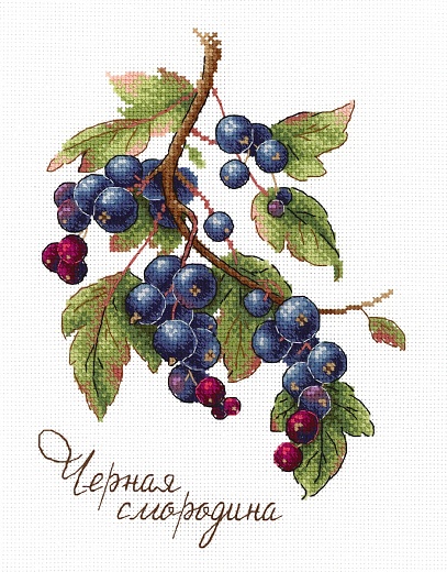 Набор для вышивания Дары природы. Чёрная смородина