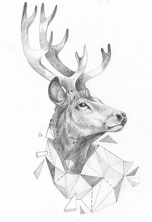 Картина по номерам Благородный олень Скетч для раскраш. чернографитными карандашами