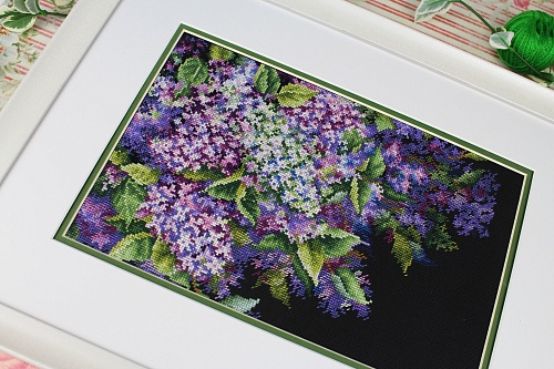 Душистая сирень