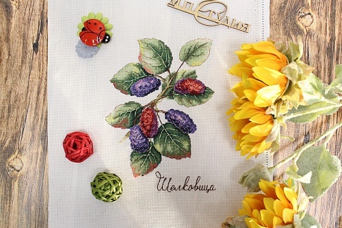 Дары природы. Шелковица