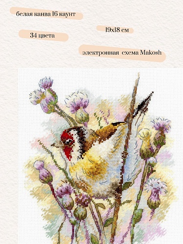 Притаившийся щегол