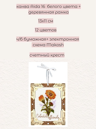 Миниатюра. Календула