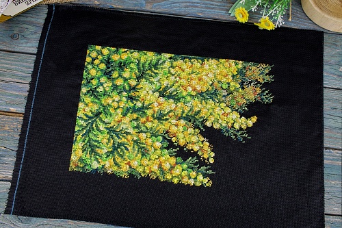 Весенняя мимоза