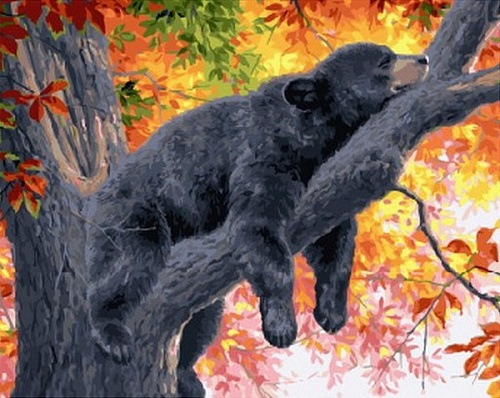 Медведь на дереве