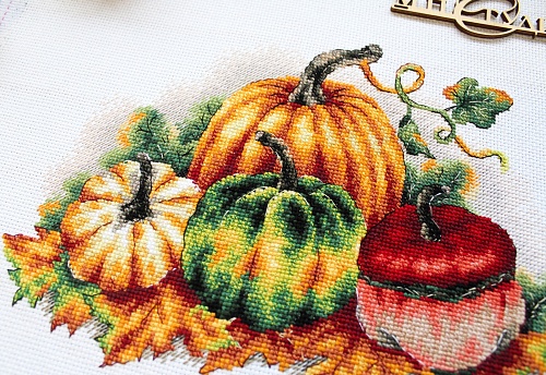 Разноцветные тыквы