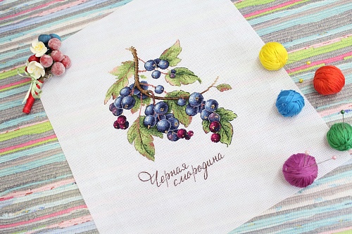 Дары природы. Чёрная смородина