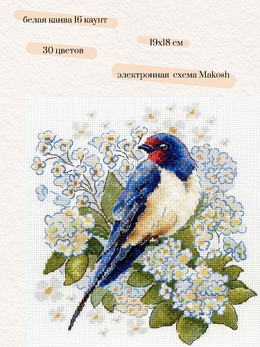 Ласточки прилетели
