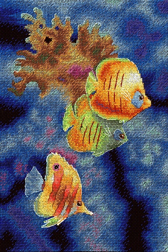 Жители кораллового рифа