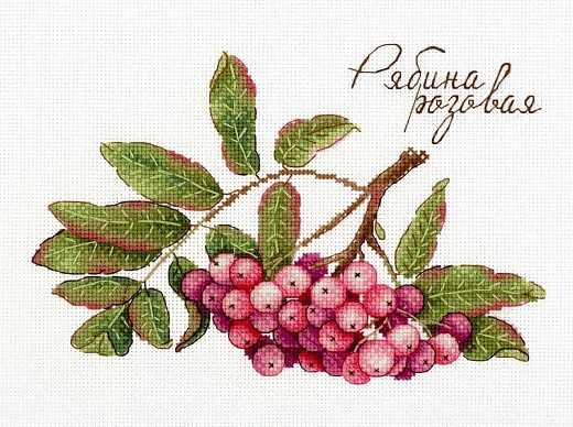 Набор для вышивания Дары природы. Рябина розовая