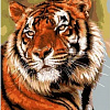 Грациозный тигр