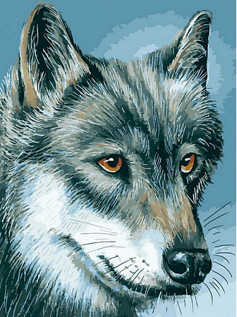 Картина по номерам Серый волк