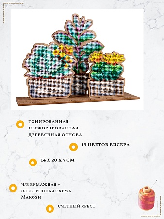 Вышивка бисером Сад суккулентов