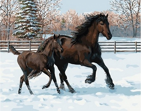 Картина по номерам Лошадь с жеребенком в загоне