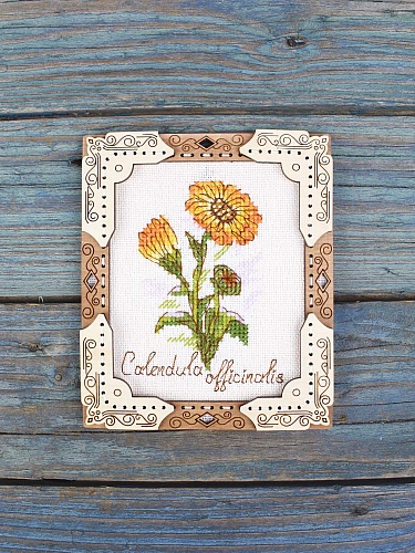 Миниатюра. Календула