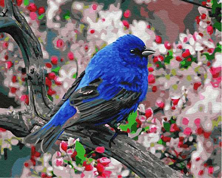 Картина по номерам Синяя птица