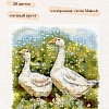 Гуси на прогулке