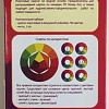 Набор акриловых красок 30 цв. Color KIT