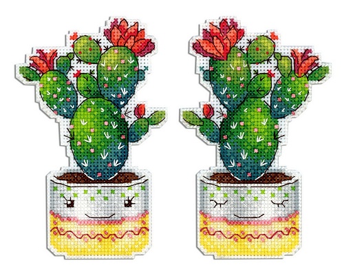 Колючий друг