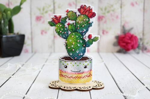 Колючий друг