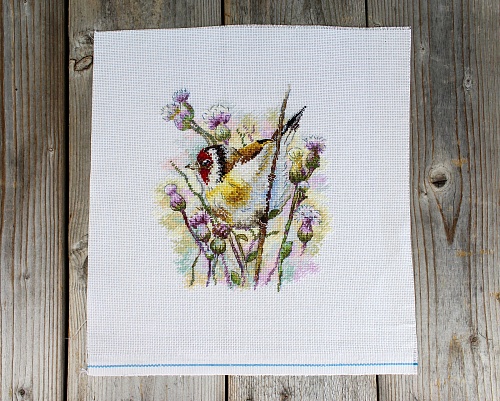 Притаившийся щегол